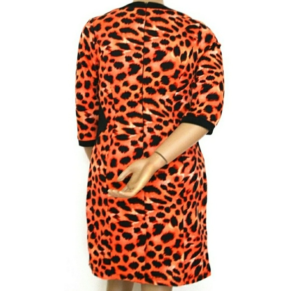 Donating 11/29poppy&Bloom 0X, Fiery Leopard Mini - Picture 3 of 3